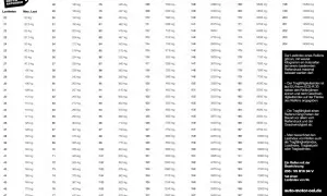 Tabelle zeigt Lastindex und maximale Traglast von Reifen. Ein Lastindex von 94 bedeutet 670 kg Traglast.