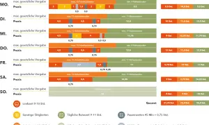 Übersicht der Lenkzeiten LKW: Tägliche und wöchentliche Arbeits- und Ruhezeiten im Überblick, mit praktischen Beispielen.