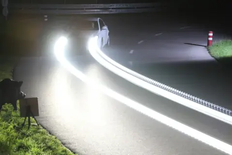 Ein Wildschwein am Straßenrand, geblendet vom grellen Fernlicht eines Autos. Welche Farbe hat das Fernlicht? Es ist blendend weiß.